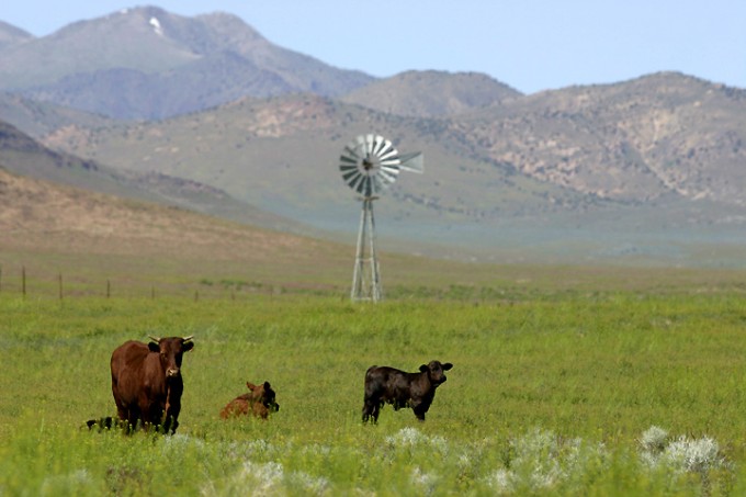 Nevada Land For Sale